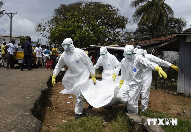 WHO: Số ca nhiễm virus Ebola đã vượt quá 10.000 người