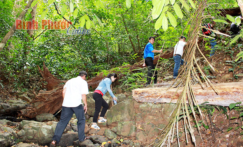 “Dân mạng” khám phá du lịch Bình Phước