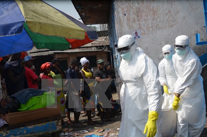 WHO cảnh báo số ca nhiễm Ebola mới tại Tây Phi tăng trở lại