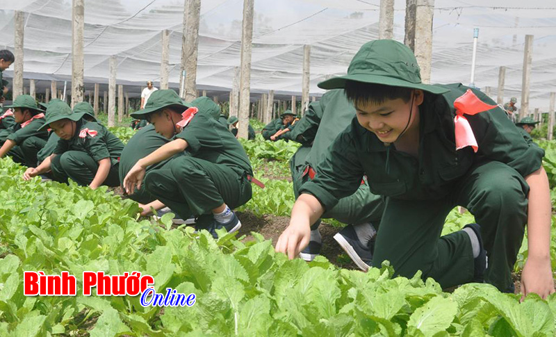 Một ngày của các “chiến sĩ nhí”