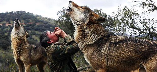 Chuyện ly kỳ về người đàn ông được sói hoang nuôi 12 năm - 2