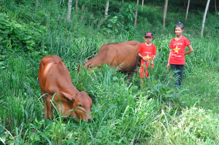 Mùa hè của trẻ em ở vùng sâu