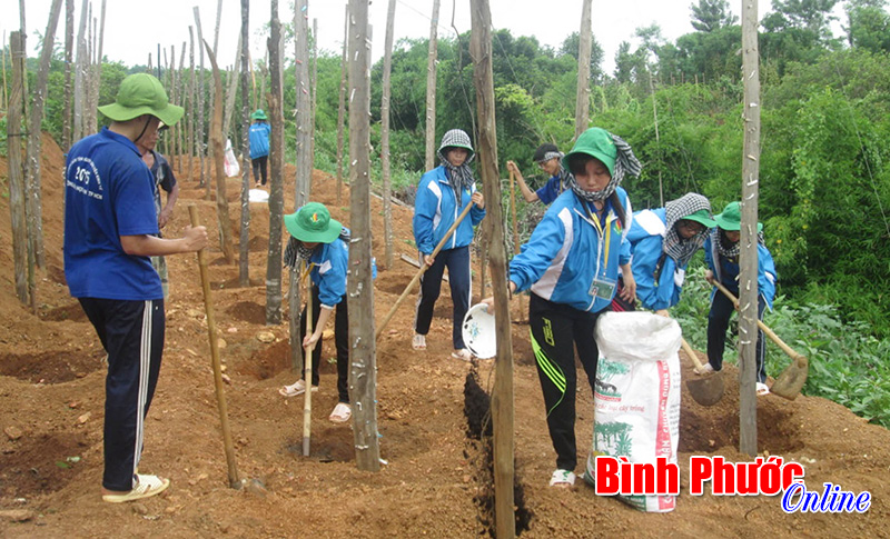 Đòn bẩy cho phong trào thanh niên tình nguyện