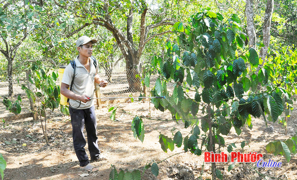 Thanh niên dân tộc thiểu số vượt khó