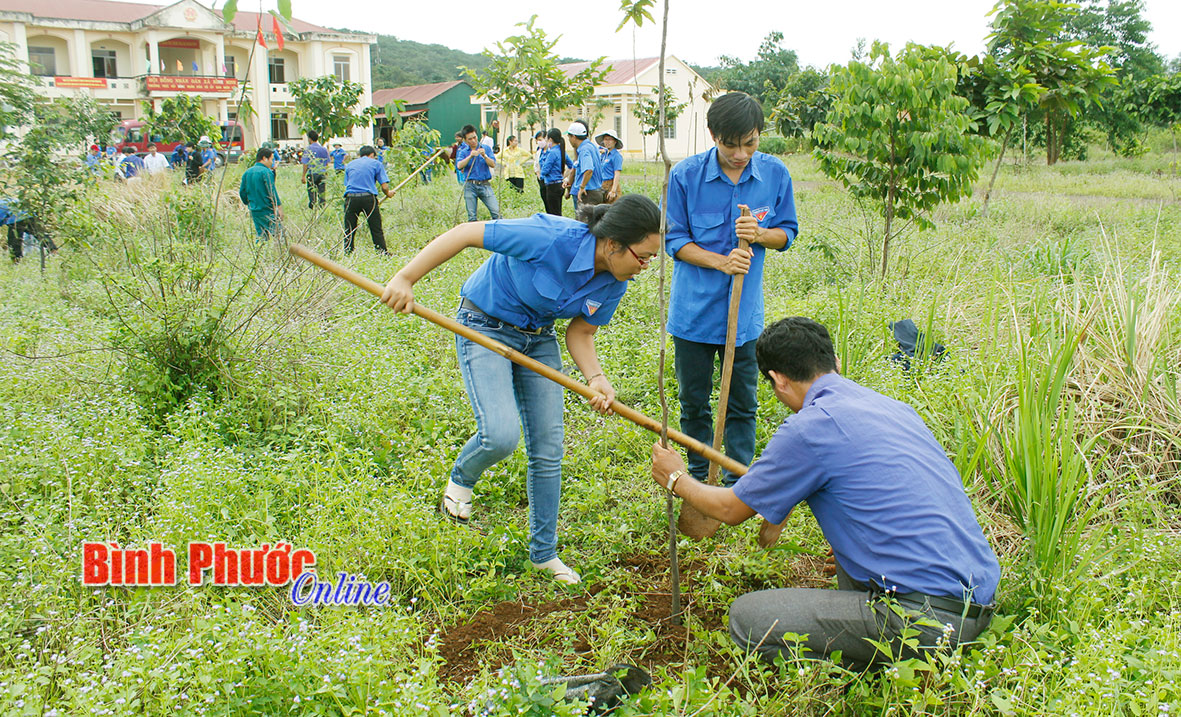Đoàn viên thanh niên Chi đoàn Báo Bình Phước và Xã đoàn Bình Minh (Bù Đăng) trồng cây bảo vệ môi trường - Ảnh: S.H