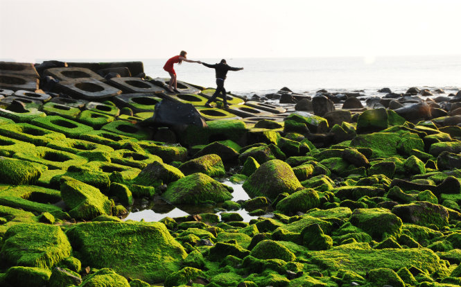 ​Kè chắn sóng Xóm Rớ thành bãi đá rêu xanh hút hồn du khách 