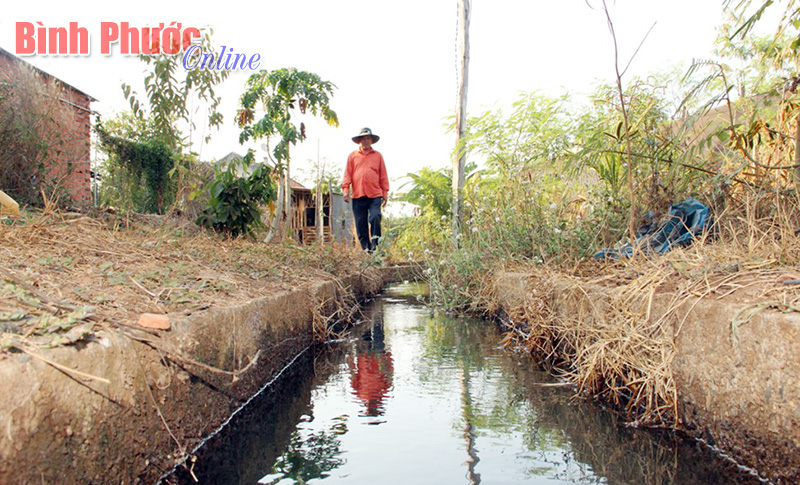 Hệ thống kênh thủy lợi Lộc Quang dẫn nước tưới cho cây trồng mùa khô