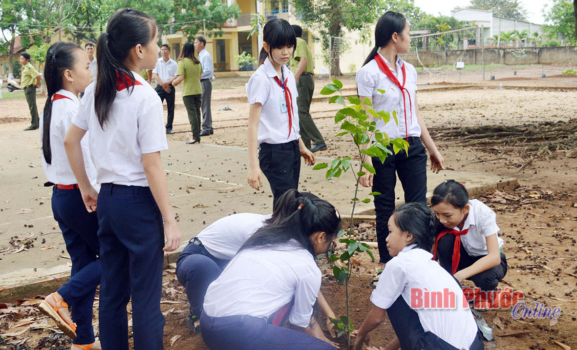 Học sinh trồng cây tại khuôn viên Trường THCS Tân Phú