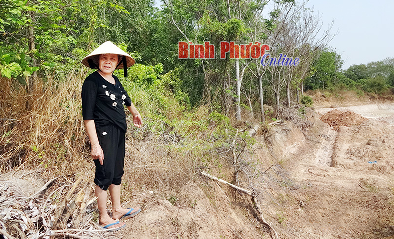 Bà Trịnh Thị Cài lo ngại về việc móc đất sâu sẽ gây sạt lở và tụt mạch nước ngầm trong vườn  