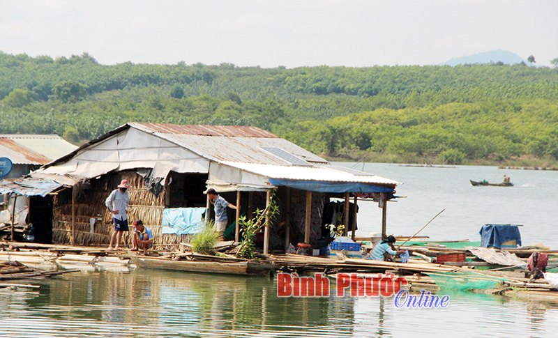 Người dân nhà bè xã Phước Minh sống bằng nghề đánh bắt cá trên lòng hồ thủy điện Cần Đơn