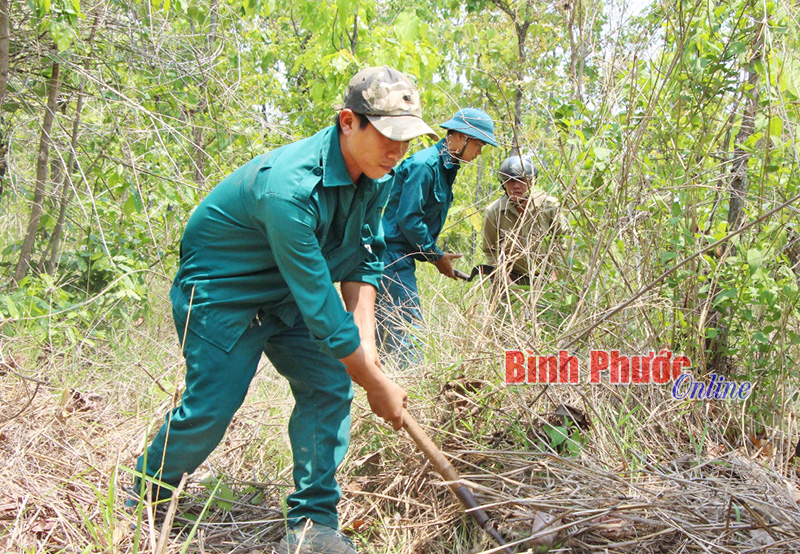 Ban quản lý rừng Lộc Ninh tổ chức phát đường băng cản lửa tại các khu rừng