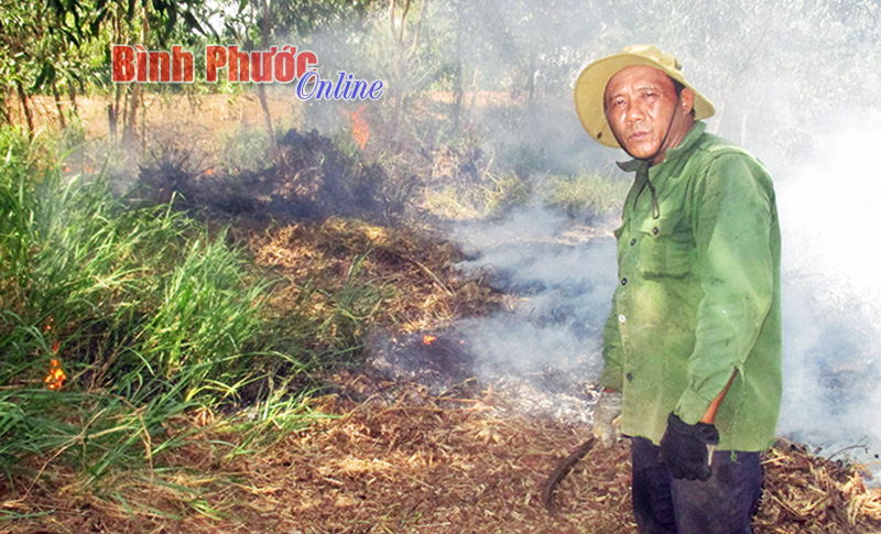 Ông Lê Thành Cường đang đốt lá tại vườn cây của gia đình