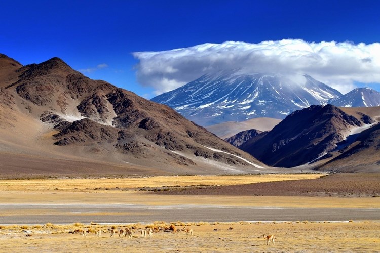 Một trong những cảnh đặc trưng của d&atilde;y n&uacute;i Andes chạy dọc Nam Mỹ.