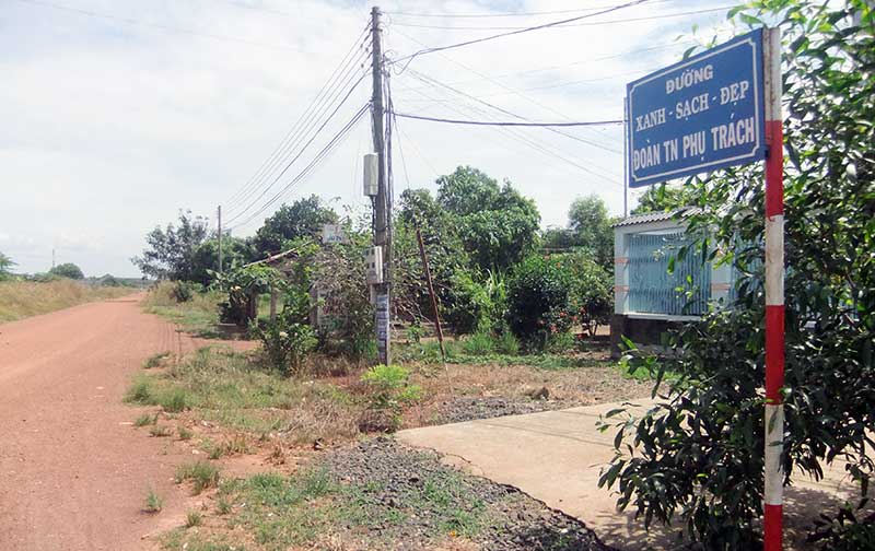 Đường Tôn Đức Thắng là đường xanh - sạch - đẹp do đoàn thanh niên phụ trách nhưng... cỏ mọc trên mặt đường