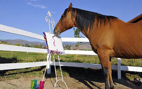 Điểm danh những chú ngựa thần kỳ nhất thế giới 23