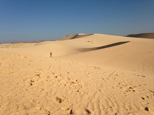  Điểm đặc biệt ở đây là những cồn cát như sa mạc nối nhau trùng điệp như núi. 