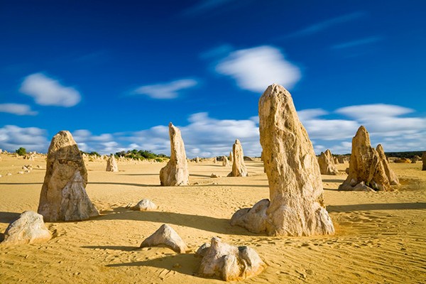 Sa mạc Pinnacles nằm ở phía Tây Nam nước Úc nổi bật với hàng nghìn cột đá bị phong hóa, nhô lên từ bãi cát vàng. Đây là kết quả của những cấu trúc đá vôi tự nhiên tuyệt đẹp, hình thành từ 25.000 - 30.000 năm trước, sau khi biển rút đi để lại khoáng chất từ lớp vỏ sò.