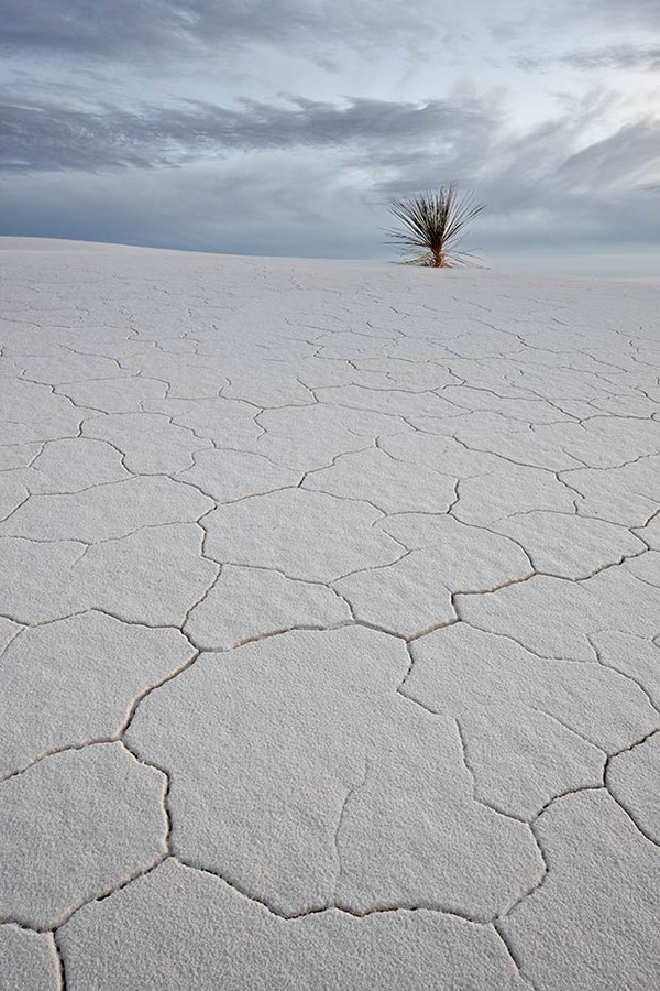 Hình ảnh những cồn cát thạch cao trắng tinh tại Đài tưởng niệm Quốc gia White Sands, New Mexico trông như những lớp tuyết bao phủ một vùng rộng lớn, khoảng 712km vuông.