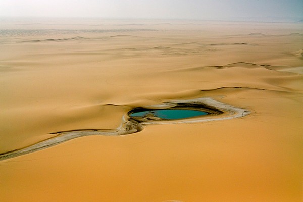 Nằm trên dãy núi Air ở phía Bắc Niger, Timia là một trong những ốc đảo đẹp nhất nước Niger khi không chỉ sở hữu hồ nước mát mà còn có rất nhiều khu vườn xanh với cây ăn quả như cam, chanh vàng ruộm.