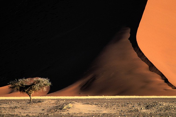 Gió thổi từ hàng triệu năm đã 'điêu khắc' cát ở sa mạc Namib, Namibia thành những đụn cát khổng lồ. Cát ở đây mang màu đỏ của sắt oxit, tuy nhìn có vẻ khô cằn nhưng giữ đủ ẩm cần thiết cho thực vật sinh sống.
