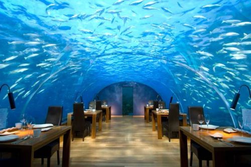 1. Nhà hàng Ithaa Undersea, Quốc đảo Malpes.