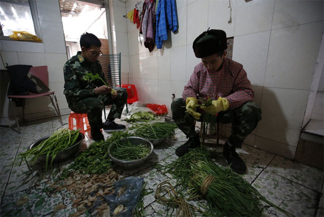 Hai nam học viên đang nhặt rau - Ảnh: Reuters.