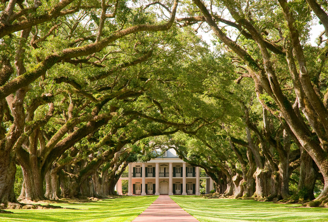 Đoạn đường cây sồi ở bang Louisiana, Mỹ.