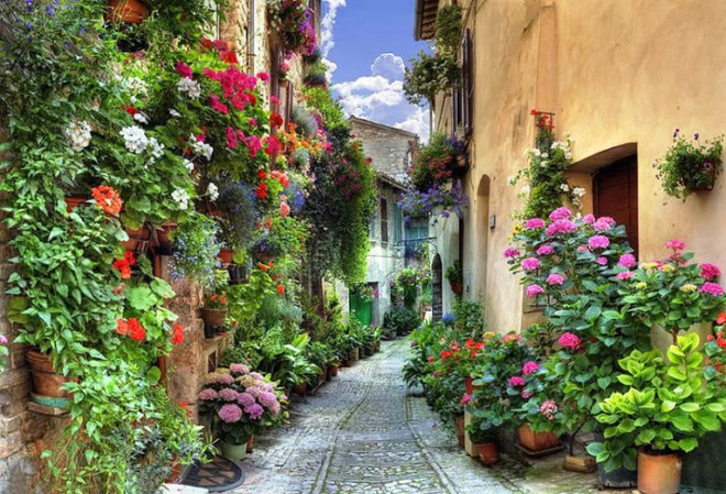 Con đường cổ tích của thị trấn Spello, ở Umbria, Italy khiến du khách ngỡ ngàng với hàng trăm sắc hoa khoe thắm.