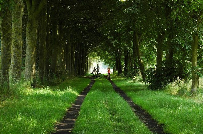 Đường mòn cây xanh hun hút tại Brugge, Bỉ.