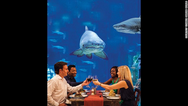 Nhà hàng Cargo Hold được xây dựng thành bản sao của một chiếc tàu, có những bàn ăn bên cạnh một bức tường kính khổng lồ. Ngồi ăn ở Cargo Hold, du khách có thể vừa thưởng thức những món ngon vừa được ngắm cá mập bơi ngay bên cạnh.