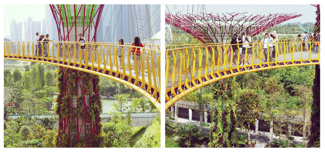 Sau khi ghép ảnh đã chụp lại, cả hai có một khung hình ấn tượng về công viên Gardens by the Bay ở Singapore.