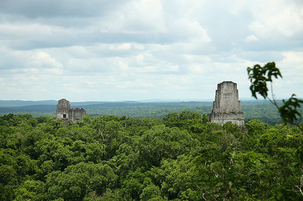 Khoảng giữa năm 200 tới 900 sau CN, Tikal là thành phố lớn nhất của người Maya với dân số lên tới 100.000 tới 200.000 người. Khi dân số Tikal đạt tới đỉnh điểm, rừng quanh đó cũng bị phá huỷ kéo theo sạt lở đất và cũng từ đó dân số giảm dần. Tikal bắt đầu suy tàn trong khoảng năm 830 tới 950, sau đó thành phố trở nên hoang vắng. Một số người vẫn còn trụ lại trong những ngôi lều nhỏ nhưng đến khoảng thế kỷ thứ 10 hoặc 11, rừng rậm Guatemala đã xâm chiếm Tikal hàng ngàn năm sau đó.