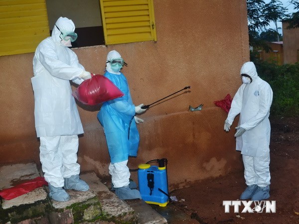 Nhật Bản tìm ra cách xác định virus Ebola trong vòng 30 phút