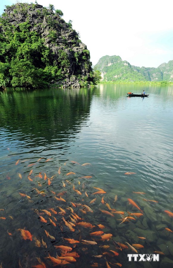 Cảnh quan thiên nhiên tuyệt đẹp của núi non, hang động và sông nước