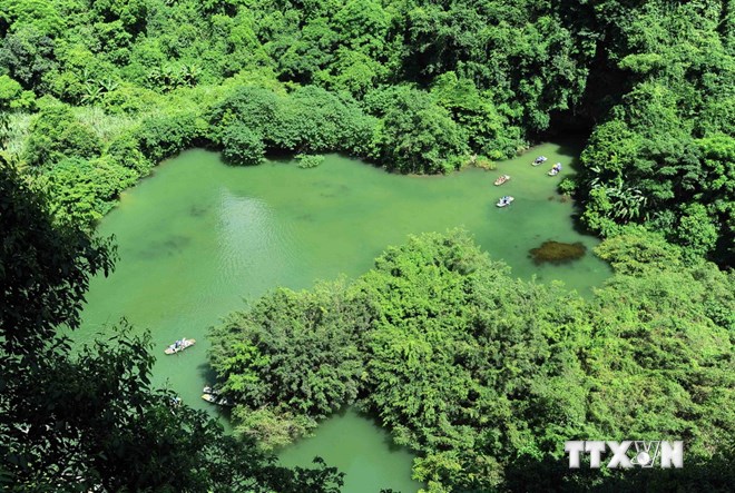 Thảm thực vật rừng nguyên sinh cùng hệ sinh thái đất ngập nước phong phú tại quần thể danh thắng Tràng An