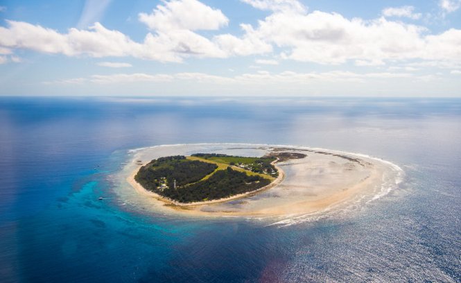 Đảo Lady Elliot , Queensland