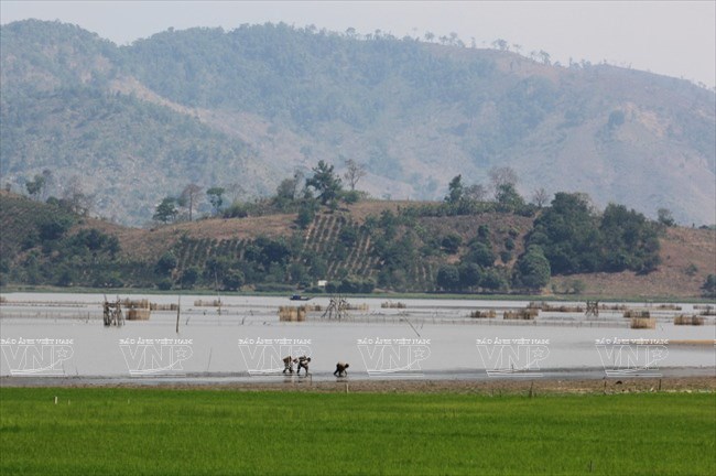 Phong cảnh hồ Lắk trong sáng sớm