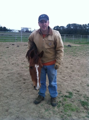 Ngựa kh&ocirc;ng ch&acirc;n