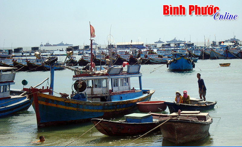 Tàu đánh cá của ngư dân huyện đảo tập trung về bến ở xã Long Hải sau những chuyến đánh bắt dài ngày trên biển