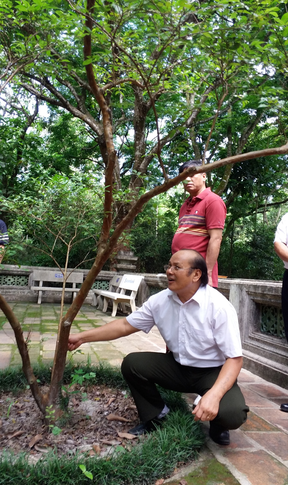 Những câu chuyện huyền bí về cây ổi cười, chuyện tình đa thị hay cây lim  hiến thân thu hút nhiều du khách đến Lam Kinh tìm hiểu...