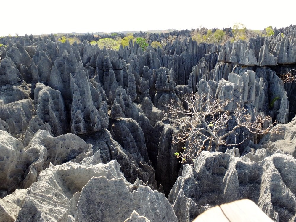 Cao nguyên đá ở Rừng quốc gia Tsingy de Bemaraha, Madagascar với nhiều khe núi và hang đá được hình thành từ các đây hàng triệu năm. 'Tsingy' theo tiếng địa phương là nơi không ai có thể đặt chân tới. (Nguồn: Sputniknews)