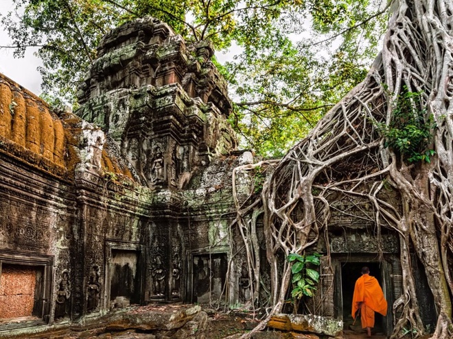 Ta Prohm là một trong những đền thuộc Angkor Wat được du khách và nhiếp ảnh gia săn hình nhiều nhất. Ngôi đền gần như bị nuốt chửng bởi rừng già, những cây lớn bao phủ lên đền bằng lớp rễ khổng lồ tạo nên một vẻ đẹp đầy bí ẩn và kỳ lạ.