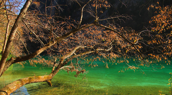 Cứ vào mỗi mùa, nơi này lại như thay một chiếc áo mới, đẹp kỳ diệu. Thời gian thích hợp để khám phá Cửu Trại Câu là mùa thu, từ tháng 10 đến đầu tháng 11 khi những khu rừng bắt đầu ngả sang màu vàng óng ả.