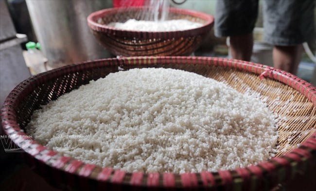 Gạo nếp qu&yacute;t đỏ được người l&agrave;ng Tranh Kh&uacute;c mua tận Hải Dương sử dụng g&oacute;i b&aacute;nh chưng. (Ảnh: Trịnh Văn Bộ/B&aacute;o ảnh Việt Nam)