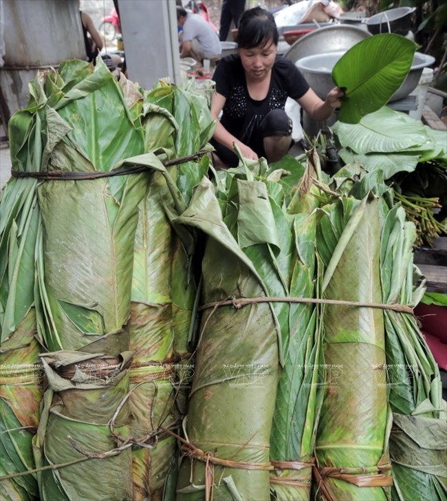 L&aacute; được b&oacute; lại, bảo quản nơi m&aacute;t để kh&ocirc;ng bị h&eacute;o khi g&oacute;i b&aacute;nh kh&ocirc;ng bị mất m&agrave;u xanh. (Ảnh: Trịnh Văn Bộ/B&aacute;o ảnh Việt Nam)