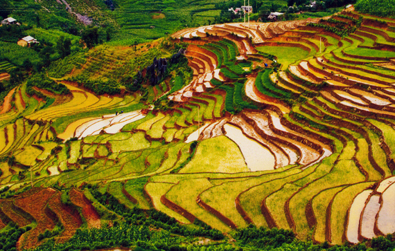 Khám phá ruộng bậc thang Mù Cang Chải mùa nước đổ