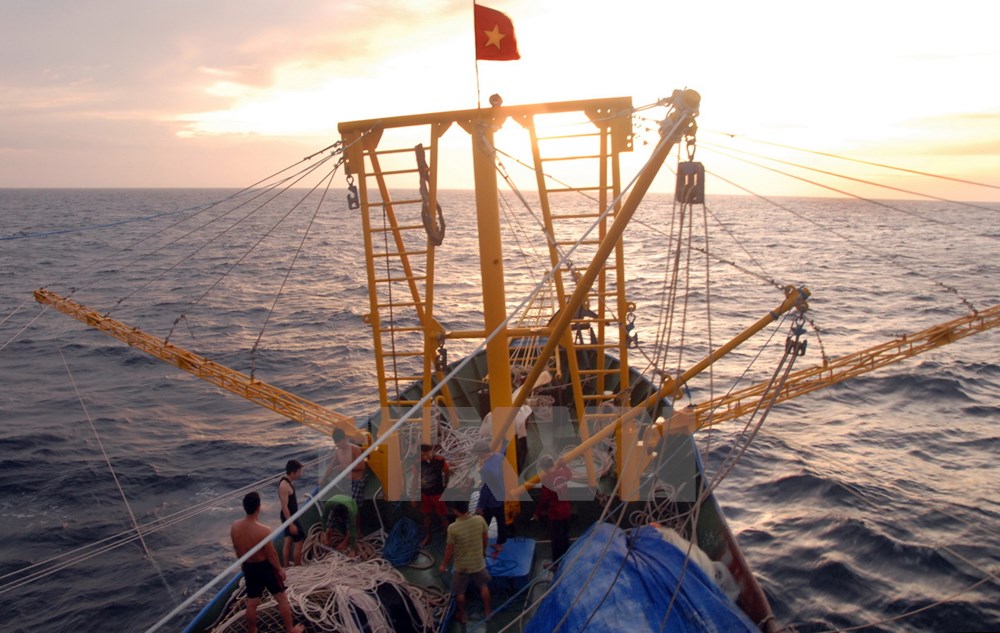 Tàu cá vỏ thép QNg 94359TS hành nghề lưới vây và mành chụp, do ngư dân Huỳnh Luận làm thuyền trưởng cùng 12 lao động ra khơi khai thác hải sản tại ngư trường Biển Đông