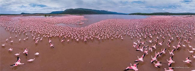 Hồ Bogoria, Kenya