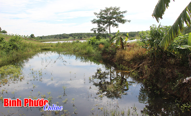 Tạo hồ nuôi cá và sẽ được đổ đất lấp hồ khi có điều kiện, ở đoạn ven đường Hồ Xuân Hương