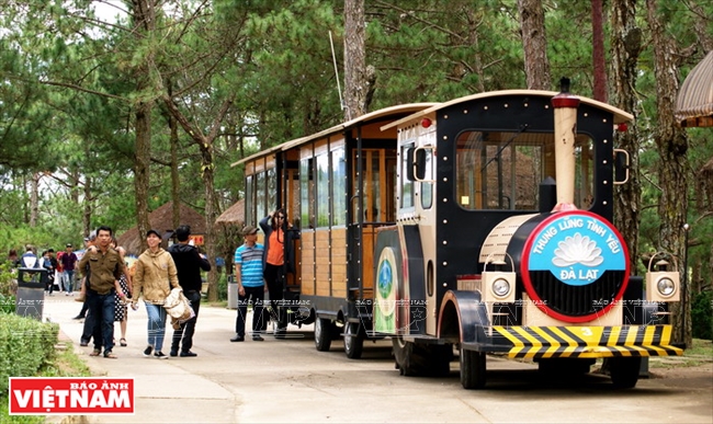 Tham quan Thung lũng T&igrave;nh y&ecirc;u bằng xe lửa cổ.